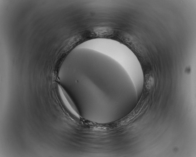 X0000098190471200805151209