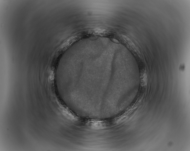 X0000098190472200805151209