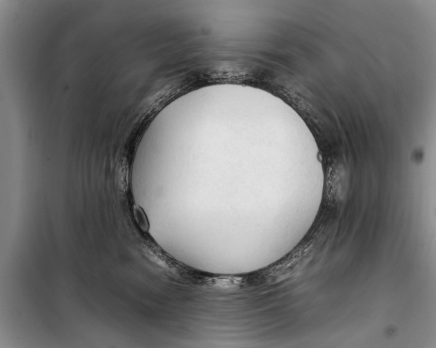 X0000098190474200805151209
