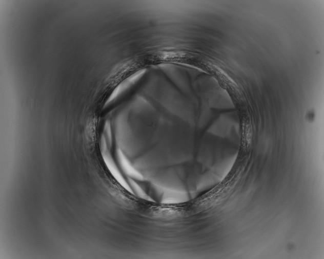X0000098190475200805151209