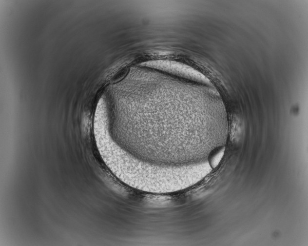 X0000098190476200805151209
