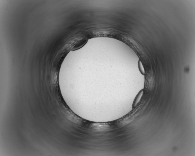 X0000098190477200805151209