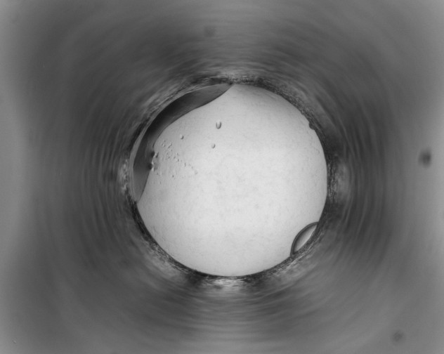 X0000098190478200805151209
