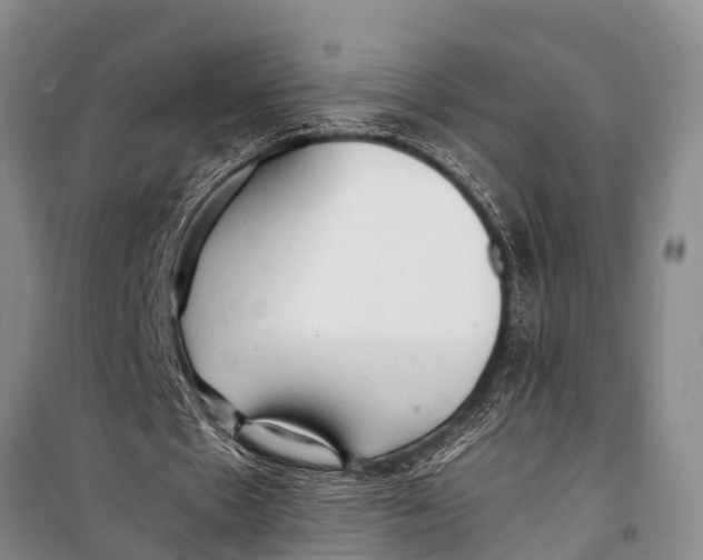 X0000098190481200805151208