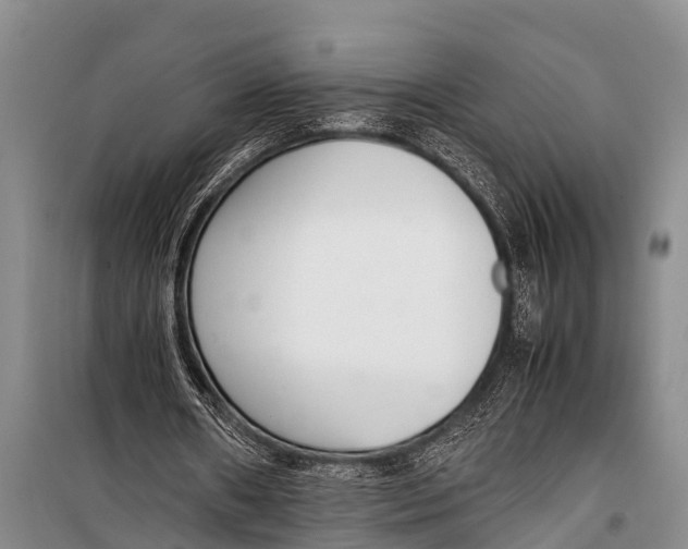 X0000098190482200805151208