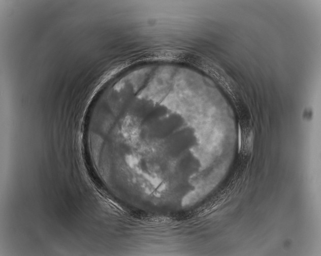X0000098190483200805151208