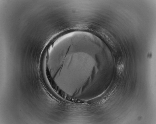 X0000098190484200805151208