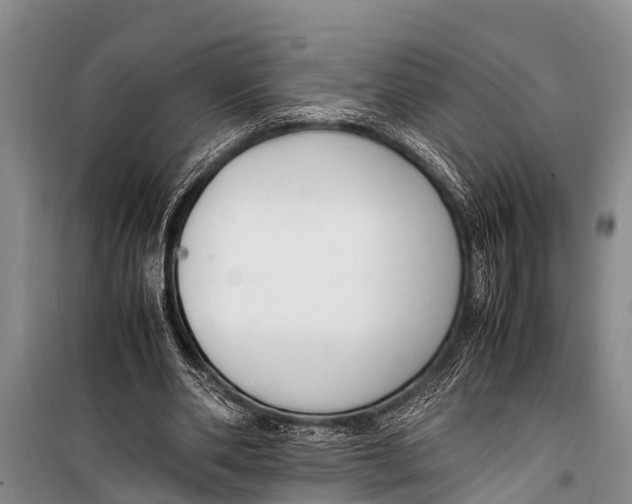 X0000098190486200805151208