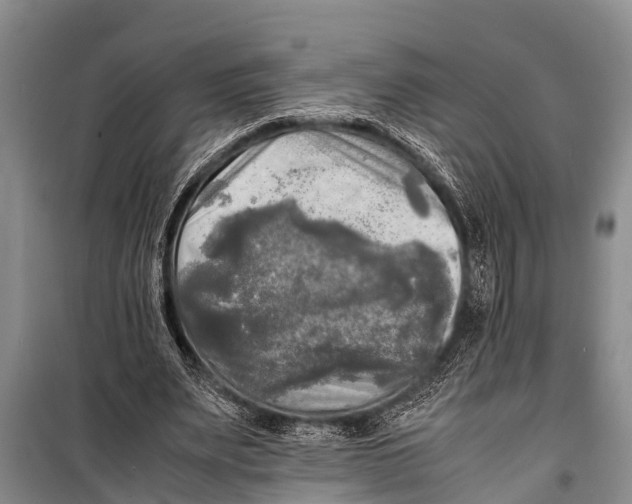 X0000098190487200805151208
