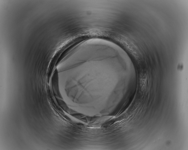 X0000098190488200805151208