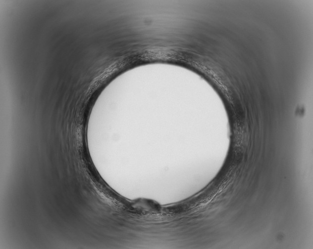 X0000098190489200805151208