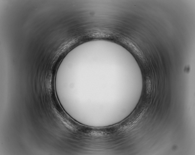 X0000098190490200805151208