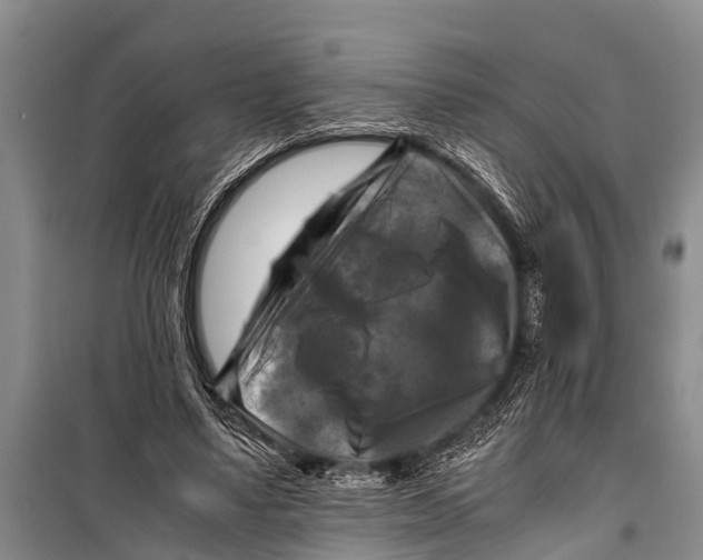 X0000098190491200805151208