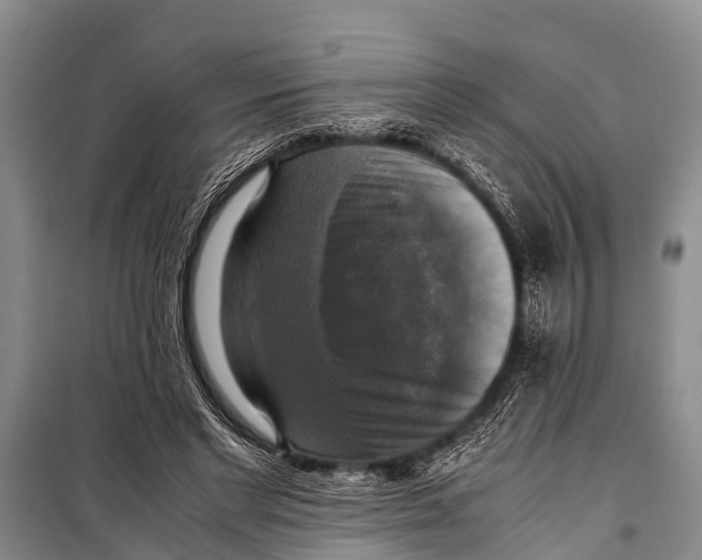 X0000098190493200805151208