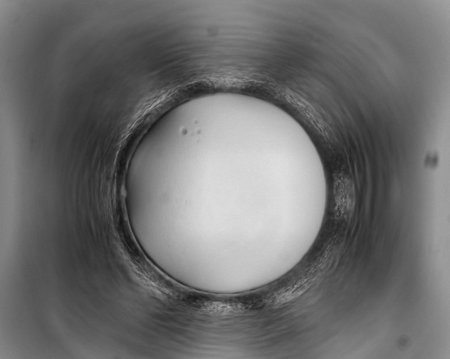 X0000098190494200805151208