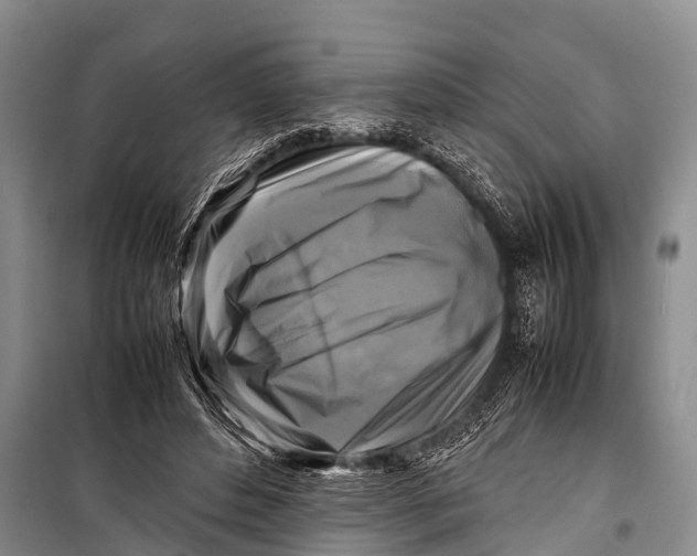 X0000098190496200805151208