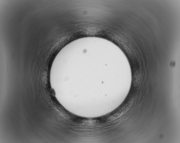 X0000098190497200805151208