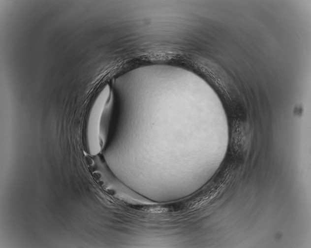 X0000098190501200805151208