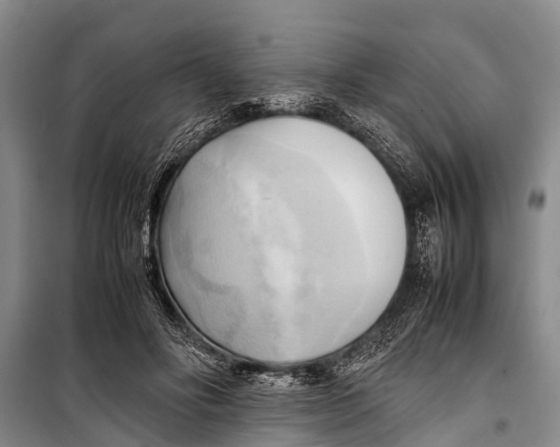 X0000098190502200805151208