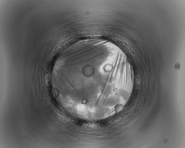 X0000098190503200805151208