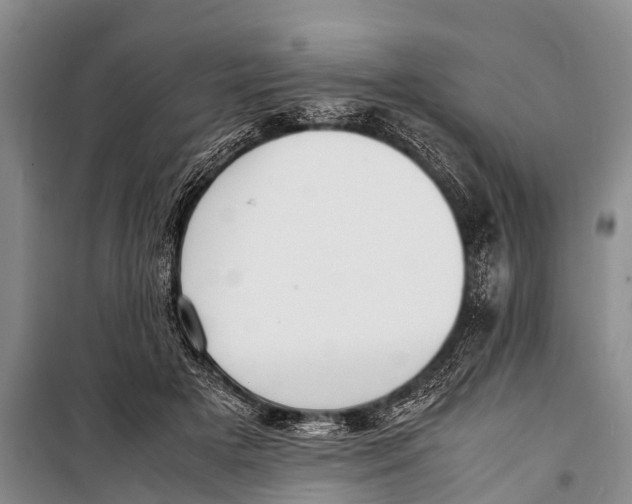 X0000098190505200805151208