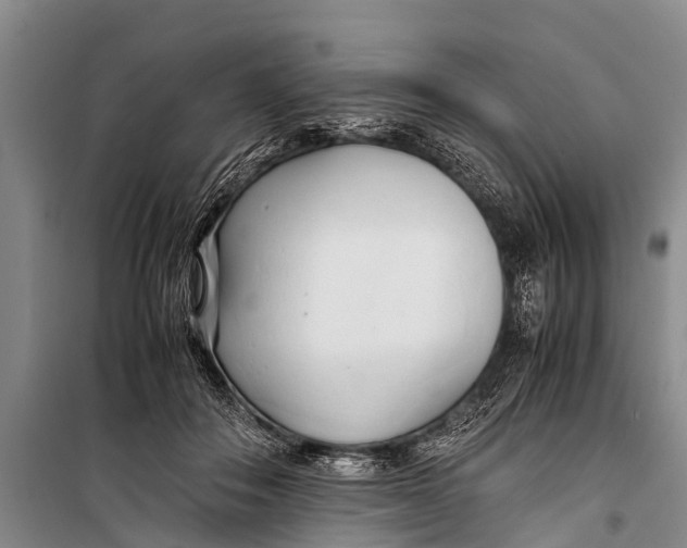 X0000098190506200805151208