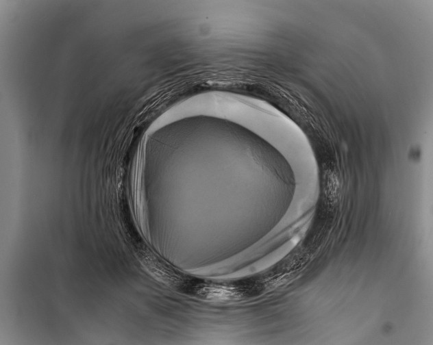 X0000098190507200805151208