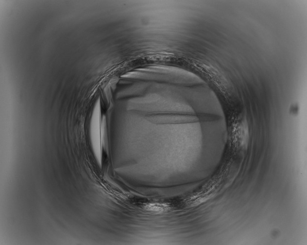 X0000098190508200805151208