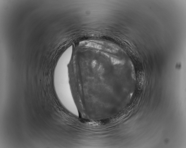 X0000098190511200805151208
