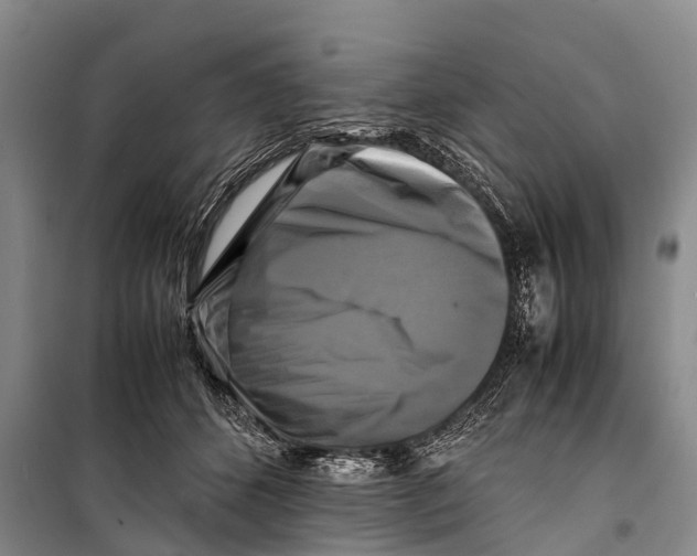 X0000098190512200805151208