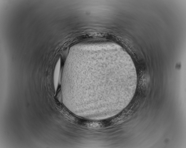 X0000098190513200805151208
