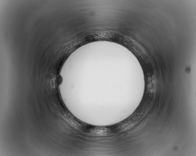 X0000098190514200805151208