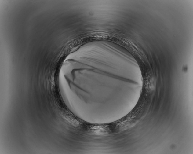 X0000098190516200805151208