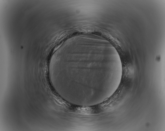 X0000098190517200805151208