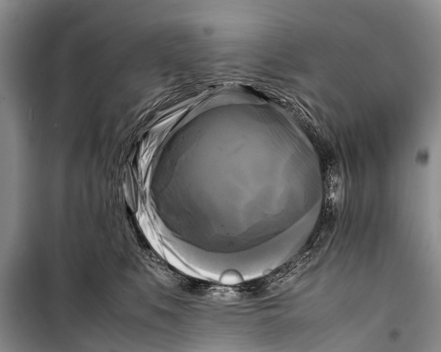 X0000098190519200805151208