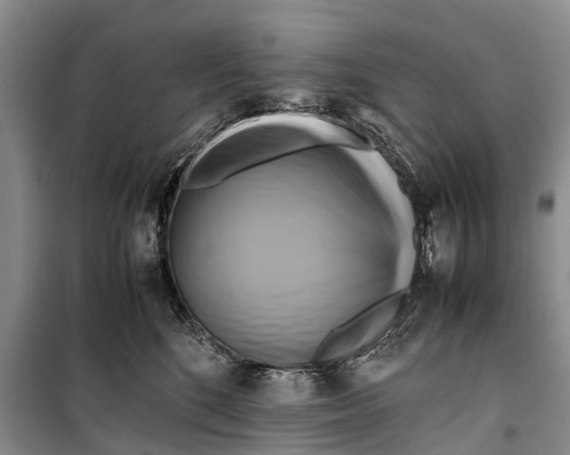 X0000098190520200805151208