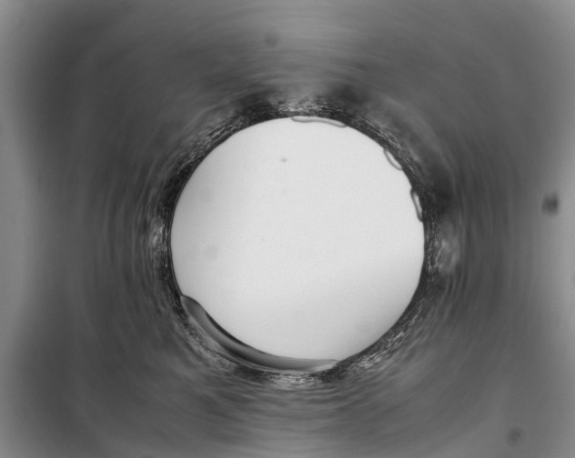 X0000098190521200805151208