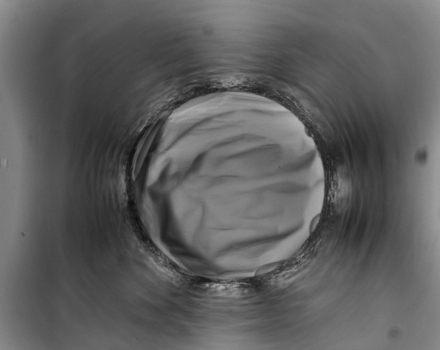 X0000098190524200805151208