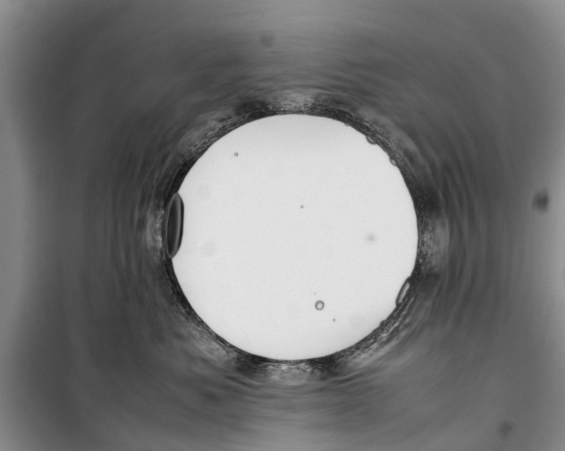 X0000098190525200805151208