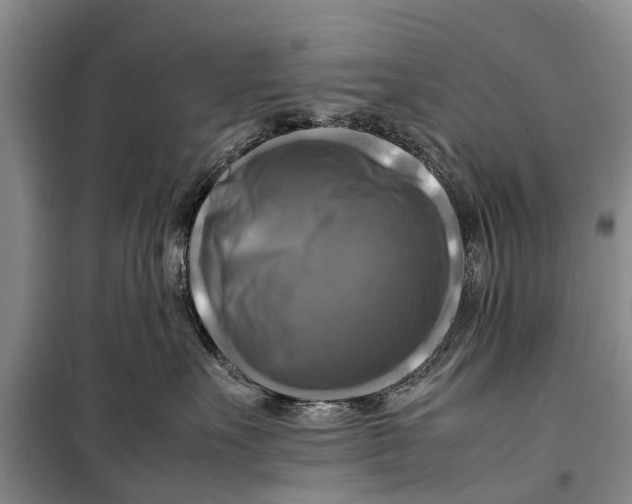 X0000098190527200805151208