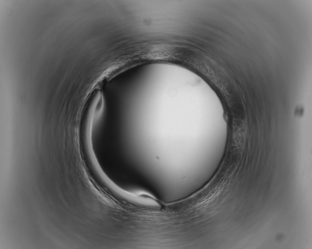 X0000098190530200805151207