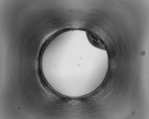 X0000098190536200805151207