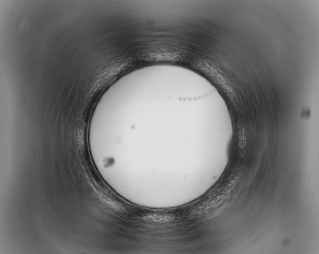 X0000098190537200805151207