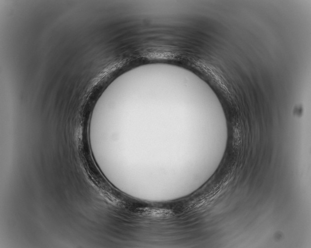 X0000098190539200805151207