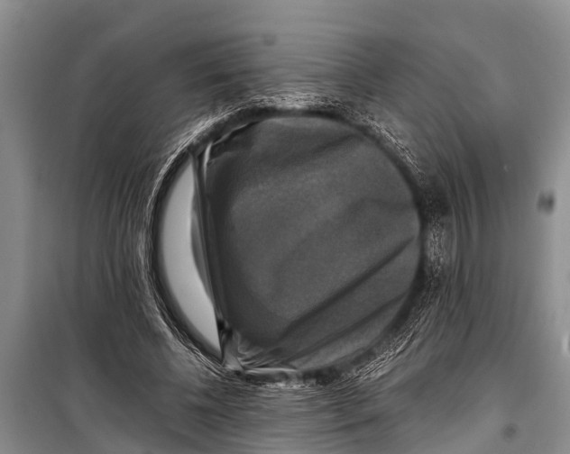X0000098190540200805151207