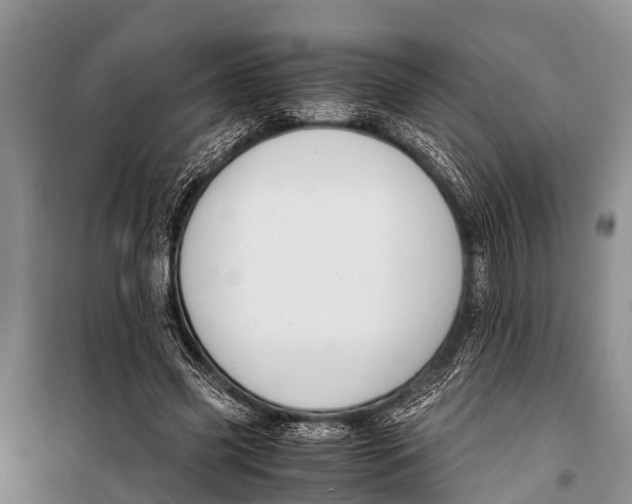 X0000098190541200805151207