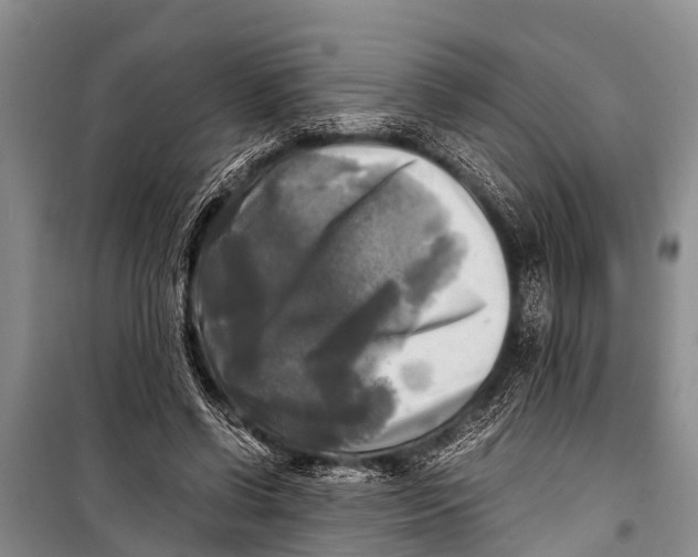 X0000098190542200805151207
