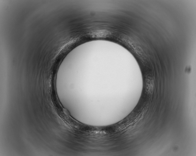 X0000098190543200805151207
