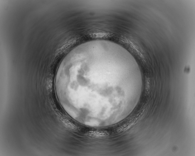 X0000098190545200805151207