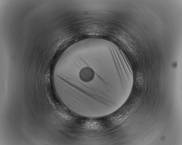 X0000098190547200805151207